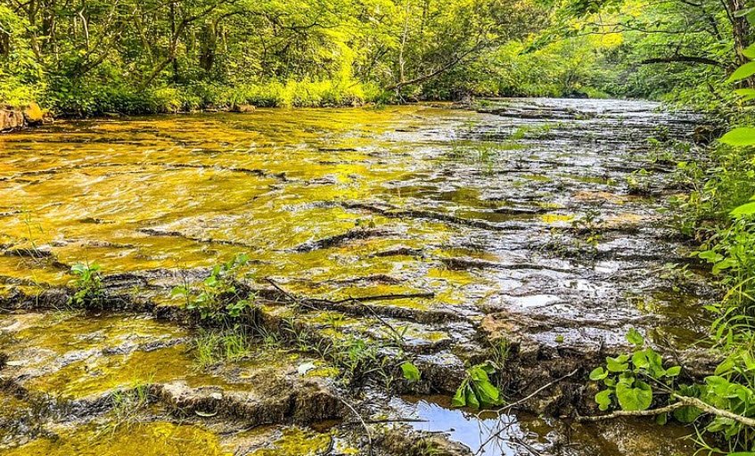 St. Francois State Park, Missouri, USA